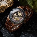 Titan - Wooden Watch